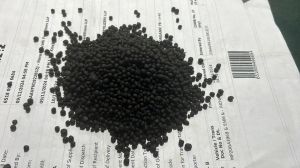 Vermicompost Powder