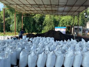 Vermicompost Powder