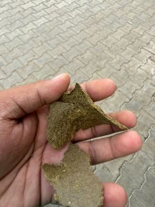 mustard cake