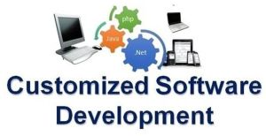Custom Software Development Services