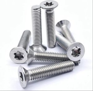 Flat Head Torx Screw