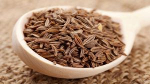 Organic Cumin Seeds