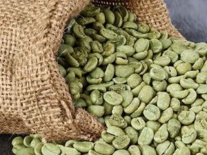 Arabica Parchment Raw Coffee Beans