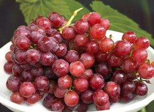 Premium Red Grapes