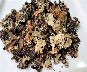 Stone Flower Dagad Phool