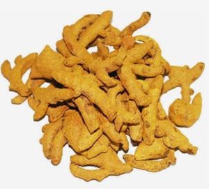 Yellow Turmeric Finger