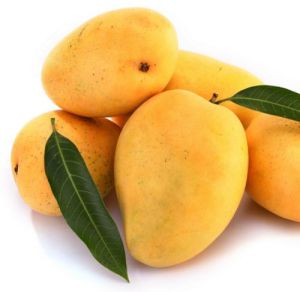 A Grade Natural Alphonso Mango