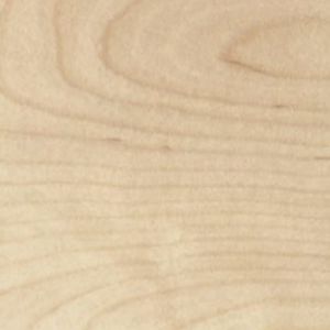Birch Wood