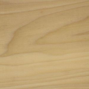 Poplar Wood