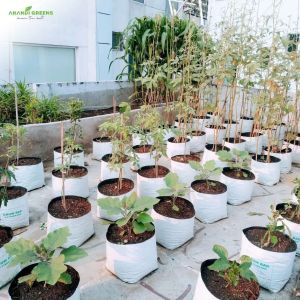 Round UV Stabilized LDPE Grow Bag