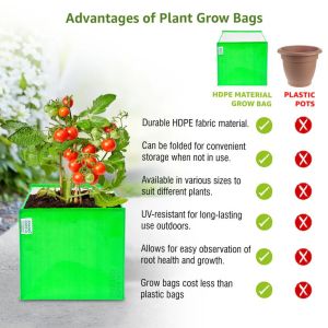 12X12X12 Inch HDPE Square Grow Bag