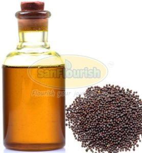 Cold Pressed Black Mustard Oil
