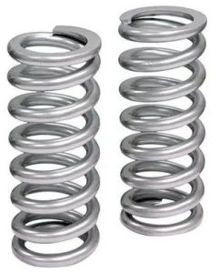 Stainless Steel Springs