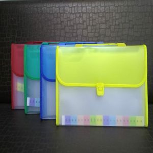 Heavy Plastic File Folder