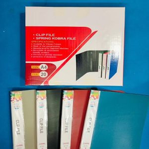 Multicolor Plastic Clip File