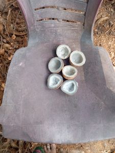 Dried Copra Coconut