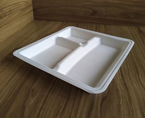 Square Sugarcane Bagasse Plates