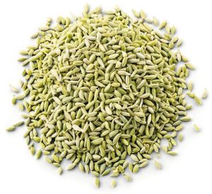 Fennel Seeds