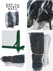 Pickle Ball Pole and Net
