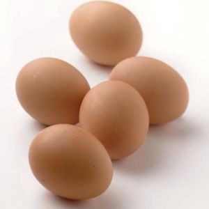 Fresh Brown Eggs