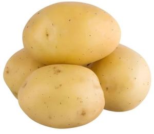 Fresh Brown Potato