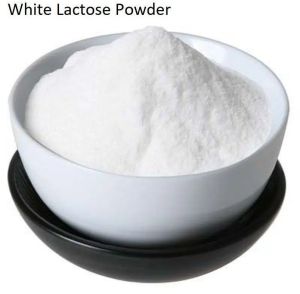 Lactose Powder