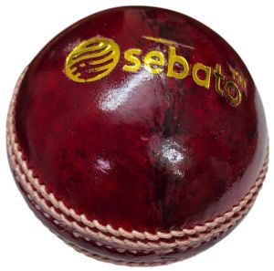 Leather Cricket Ball