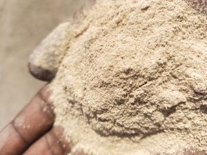 Rice Husk Powder