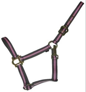 Premium Quality Nylon Halter