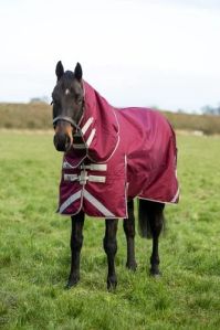 Polyester Horse Red  Plain Rug