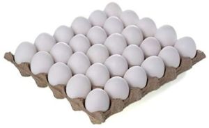 Poultry Eggs