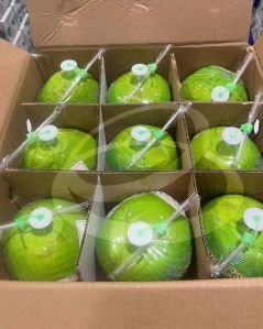 tender green coconut