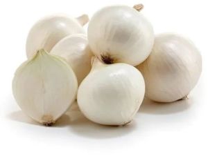 Fresh White Onion