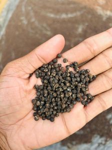 Black Pepper Seed