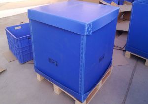 Polypropylene Corrugated Box