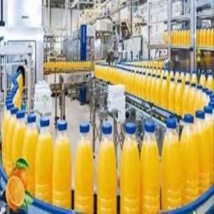 Fruit Juice Processing Plant