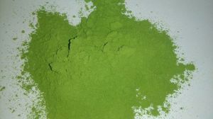 Moringa Leaves Powder