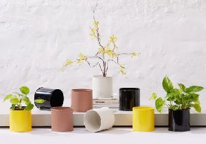 ZING - SHELF PLANTER