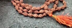 3 Mukhi Rudraksha Mala