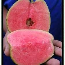 Fresh Japanese Red Diamond Guava