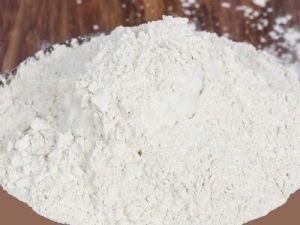 Dehydrated White Onion Powder