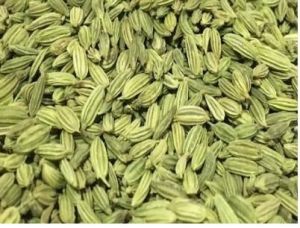 Fennel Seeds