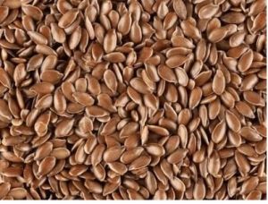 Flax Seeds