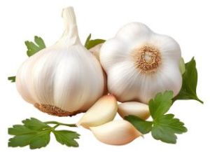 Garlic