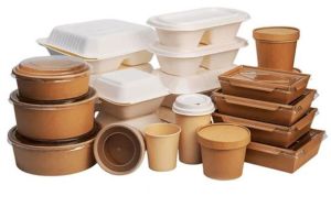 Biodegradable Disposable Food Container with Lid