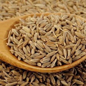 Cumin Seeds