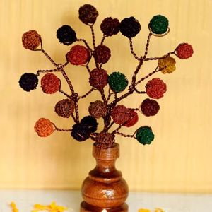 Rudraksha Bouquet-5 Face Rudraksh-multi Colour-27 Beads