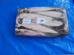 Frozen Needle Squid Block