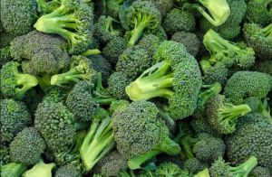 Fresh Broccoli