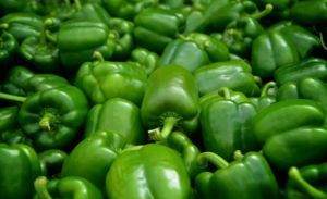 Fresh Capsicum